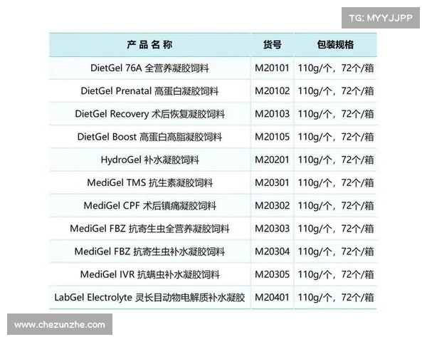 中超联赛球队进攻效率分析与提升策略探讨 中超联赛球队进攻效率分析与提升策略探讨